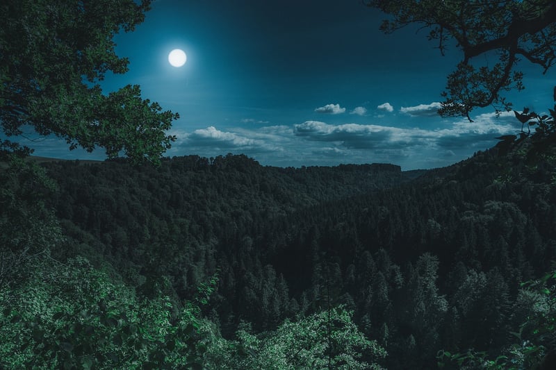 Moon Full Moon Night Sky Dark